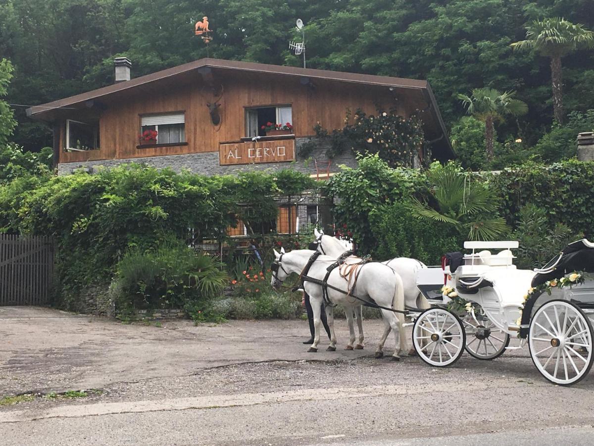 Al Cervo Tra I Laghi Acomodação com café da manhã Tavernerio Exterior foto